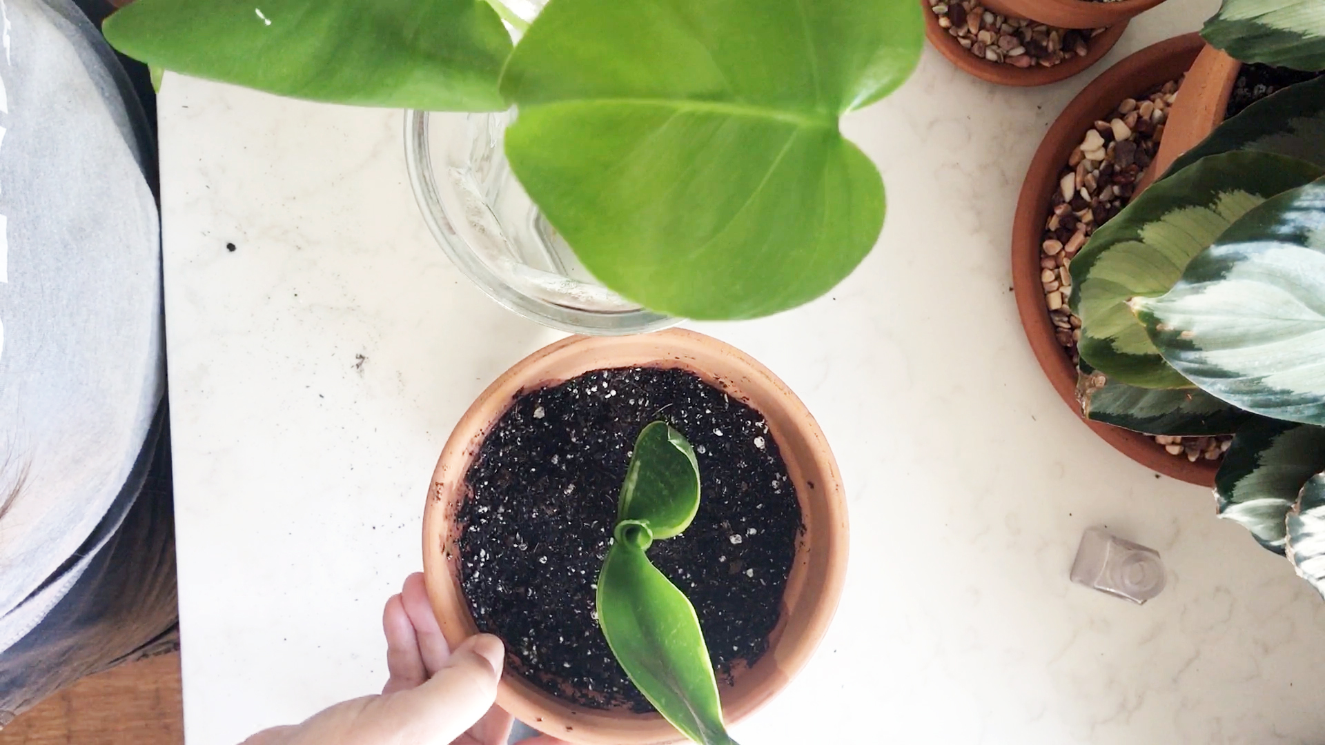 Propagating for Friends